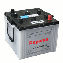 Batterie de tracteur à charge sèche -DIN60013-12V100ah (60013)